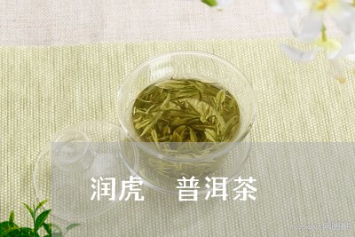 润虎 普洱茶/2023091329504